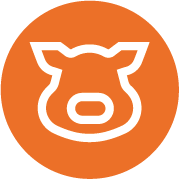 Icon Pigs Oranje