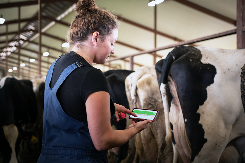 herd-manager-checks-cowmanager-health-module-on-phone