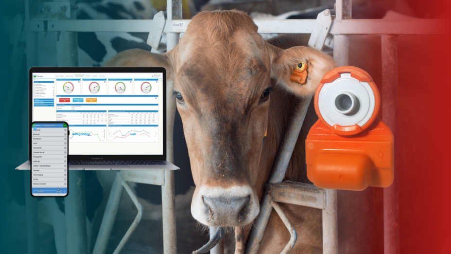 RMV Hardenberg CowManager AgroVision Cows